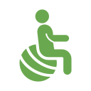 exercise ball icon<br />